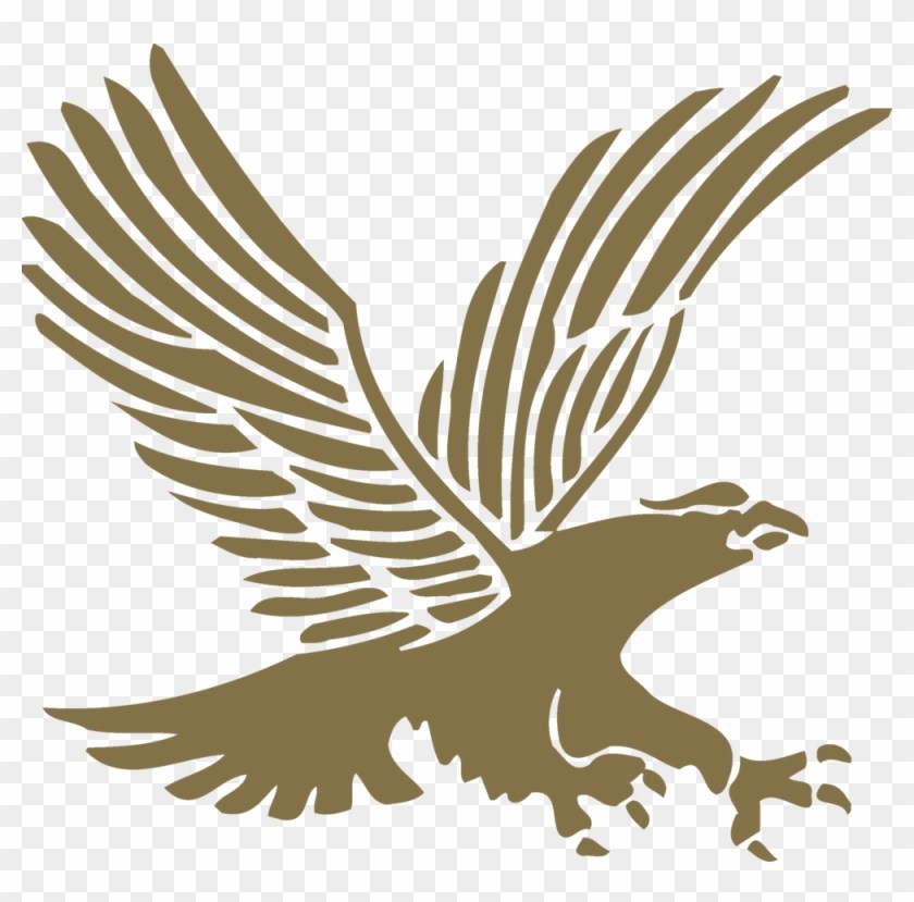 Embry-Riddle Aeronautical