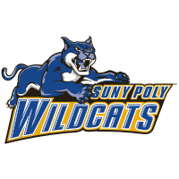 SUNY-New York Poly