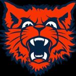 Evanston Township