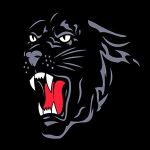 Saucon Valley