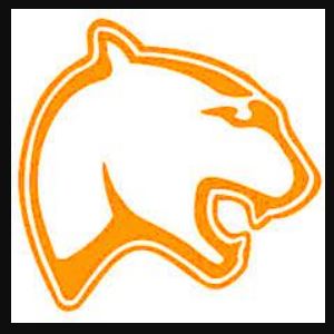 Sylvania Southview