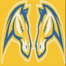 Chicopee Comprehensive