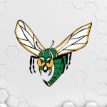 Edina