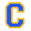 Chelsea CTE