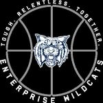 Enterprise
