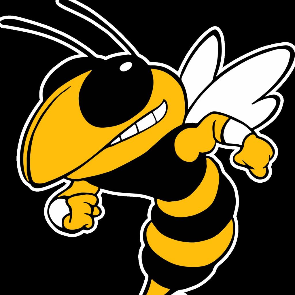 Hinsdale South