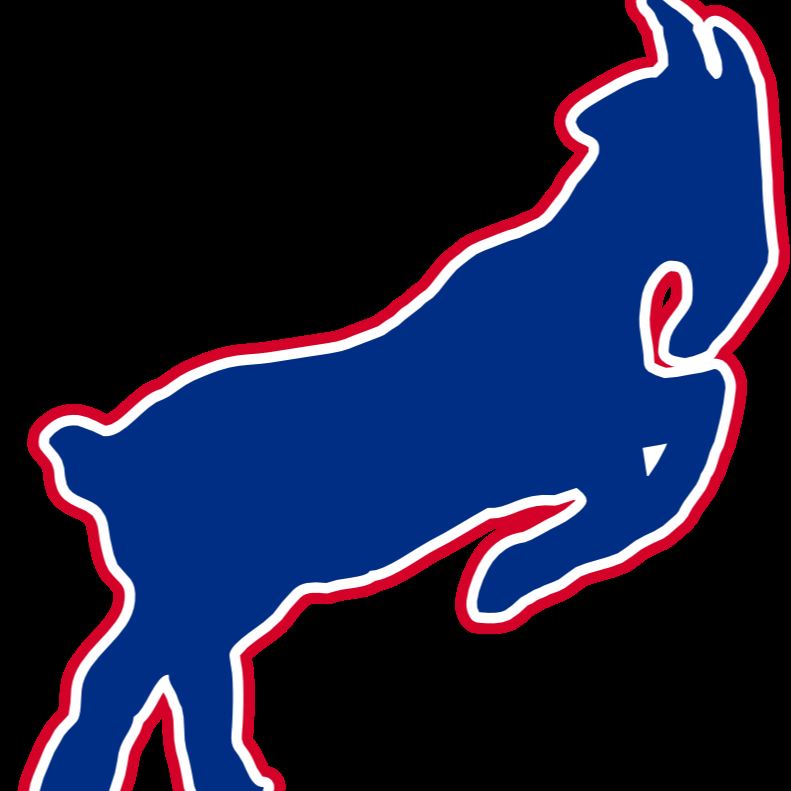 Williamsville South