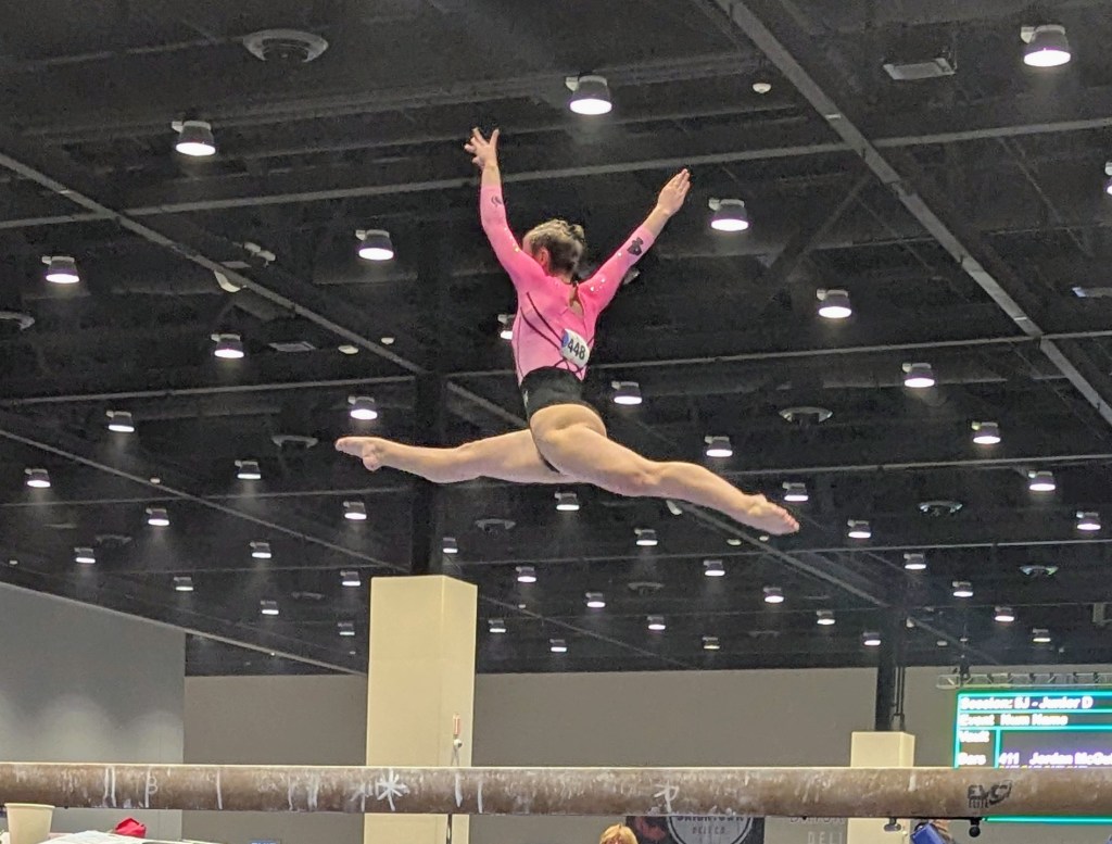 NorCal Level 10 State: Who Stood Out in the Senior Division