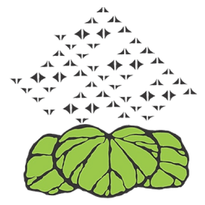 Halau Ku Mana