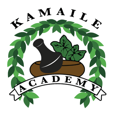 Kamaile Academy