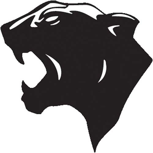 Pattonsburg
