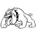 Clay County